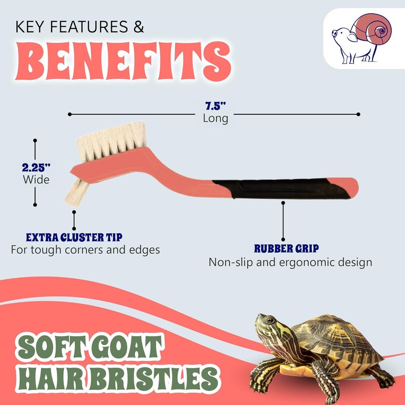 Snout and Shell Turtle Cleaning Brush - Gently Remove Dirt from Turtles and Tortoises - Blue by - Image 4